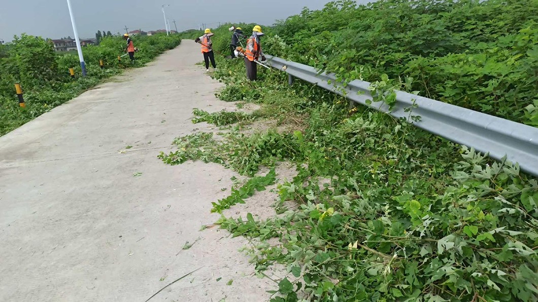 南新乡乡村道路管理养护服务项目